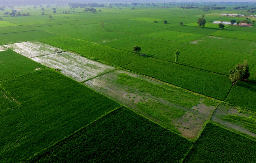 Farm Land Development - BR Agro Farms